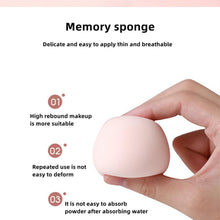 Reusable Egg Shape Facial Sponge for Daily Cleansing and Gentle Exfoliation, Makeup Remover, Face Wash Sponge, Makeup and Dead Skin, Cleansing Sponge for Dry & Wet Use For Women’s (1 pc)