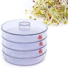 070 Plastic 4 Compartment Sprout Maker, White Jyotin Enterprises