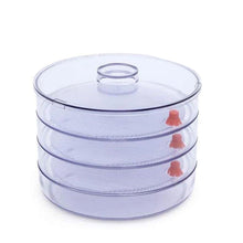 070 Plastic 4 Compartment Sprout Maker, White Jyotin Enterprises